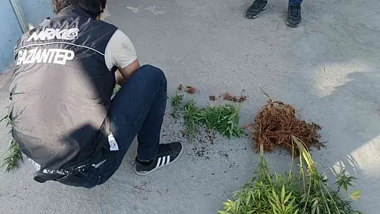 Gaziantep'te dev uyuşturucu operasyonu: 20 gözaltı