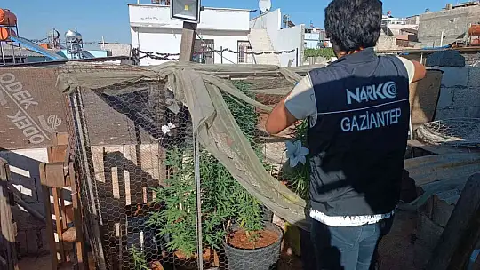 Gaziantep'te dev uyuşturucu operasyonu: 20 gözaltı