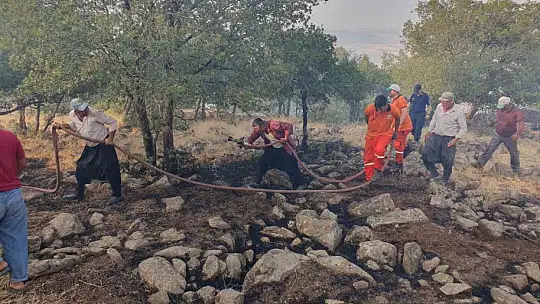 Gaziantep'te düşen yıldırım ormanlık alanı yaktı