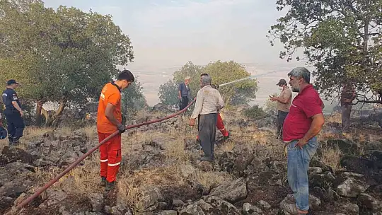 Gaziantep'te düşen yıldırım ormanlık alanı yaktı