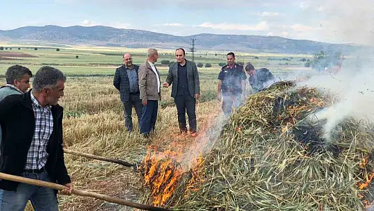 Gaziantep'te geleneksel yöntemlerle yapılan firik hasadı başladı