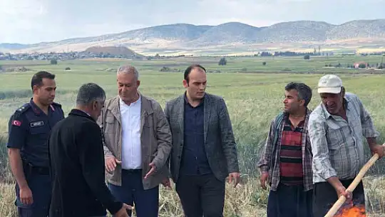 Gaziantep'te geleneksel yöntemlerle yapılan firik hasadı başladı