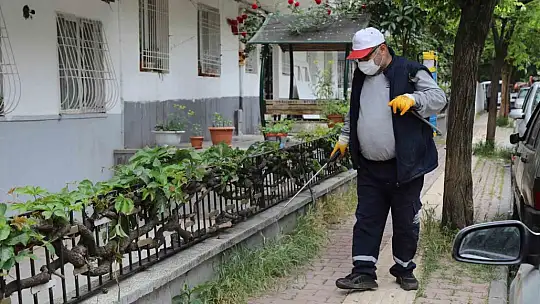 Gaziantep'te haşerelere karşı 165 bin noktada ilaçlama yapılıyor