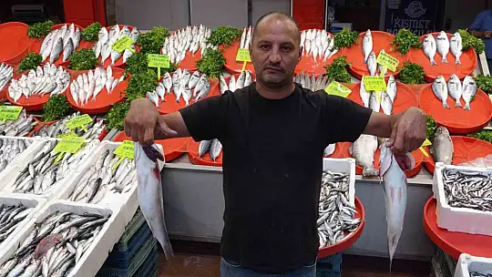 Gaziantep'te havaların serinlemesiyle balık satışları arttı