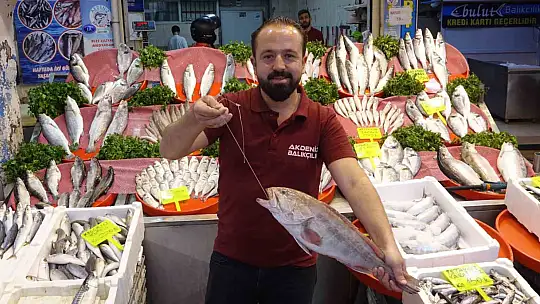 Gaziantep'te havaların serinlemesiyle balık satışları arttı