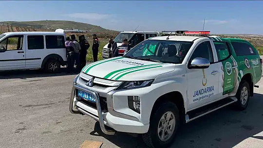 Gaziantep'te jandarma ekipleri yasak ırk 3 köpeğe el koydu