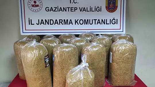 Gaziantep'te kaçakçılık operasyonunda 1 şahıs tutuklandı