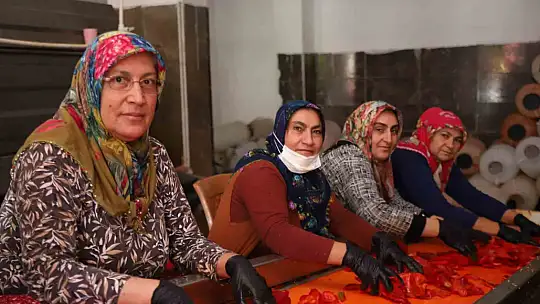 Gaziantep'te kadınlar ekmeklerini 'acı'dan çıkarıyor