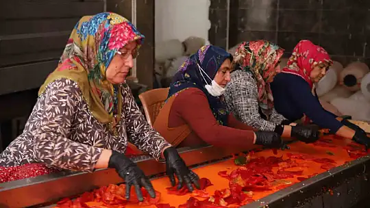 Gaziantep'te kadınlar ekmeklerini 'acı'dan çıkarıyor