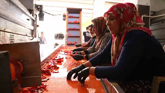 Gaziantep'te kadınlar ekmeklerini 'acı'dan çıkarıyor