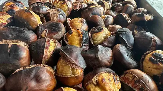 Gaziantep'te kestane sezonu başladı