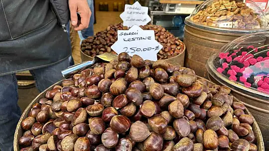 Gaziantep'te kestane sezonu başladı