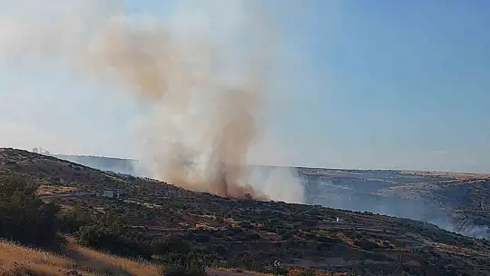 Gaziantep'te korkutan orman yangını