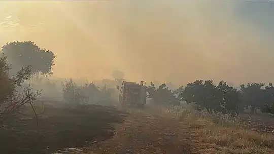 Gaziantep'te korkutan orman yangını