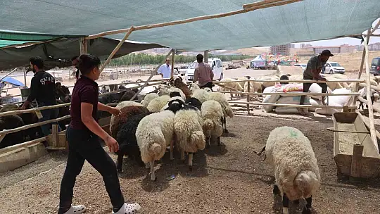 Gaziantep'te Kurban Bayramı öncesi sıkı denetimler sürüyor