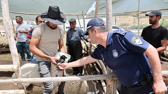 Gaziantep'te Kurban Bayramı öncesi sıkı denetimler sürüyor