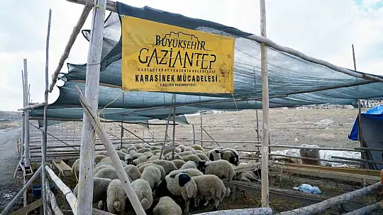Gaziantep'te kurban bayramı tedbirleri aralıksız devam ediyor