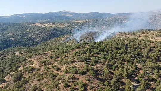 Gaziantep'te orman yangını