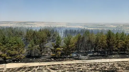 Gaziantep'te orman yangını