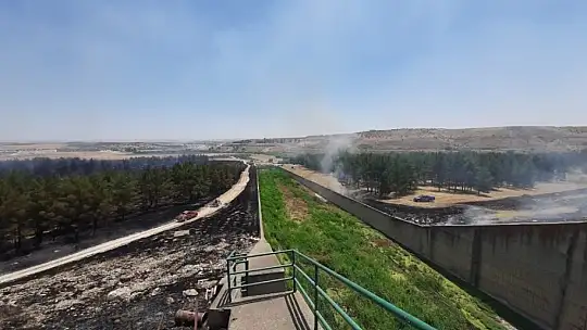 Gaziantep'te orman yangını