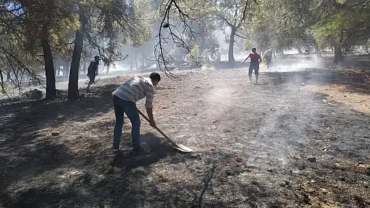 Gaziantep'te orman yangını