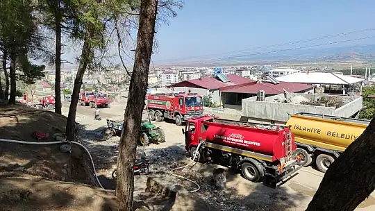 Gaziantep'te orman yangını