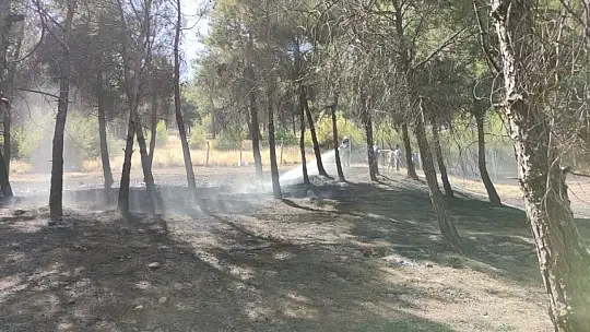 Gaziantep'te orman yangını
