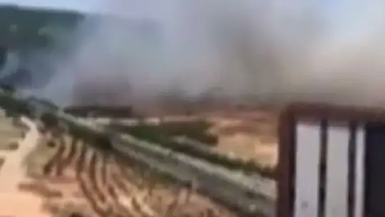 Gaziantep'te orman yangını