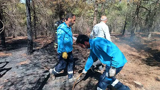 Gaziantep'te orman yangını