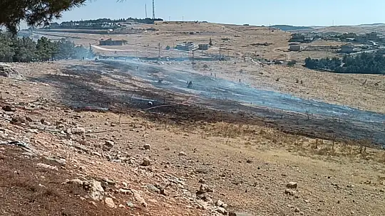 Gaziantep'te orman yangını