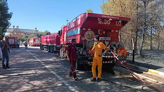 Gaziantep'te orman yangını