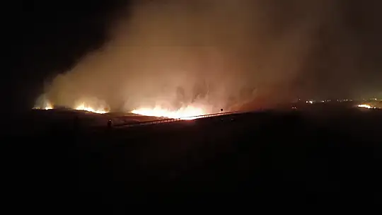 Gaziantep'te orman yangını