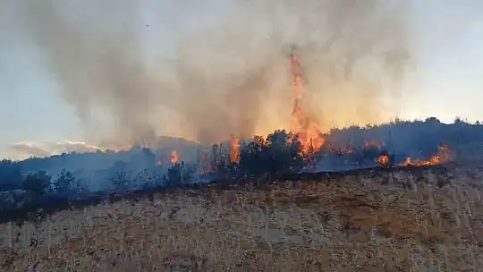 Gaziantep'te orman yangını