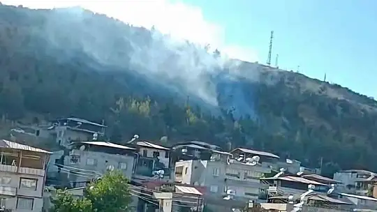 Gaziantep'te orman yangını