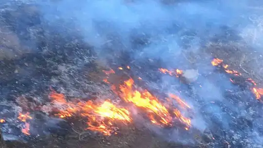 Gaziantep'te orman yangını