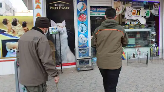 Gaziantep'te pitbull saldırısı sonrası pet shop denetimleri arttı