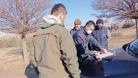 Gaziantep'te sahipsiz pitbull paniği