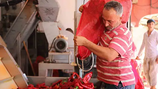 Gaziantep'te salça mesaisi başladı