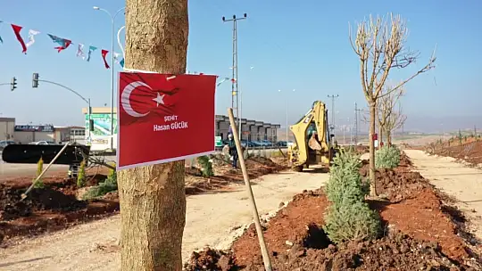 Gaziantep'te şehit isimleri ağaçlarda yaşatılacak