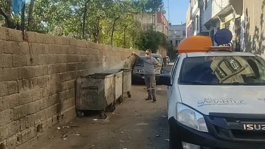 Gaziantep'te sivrisinek ve karasineklere karşı ilaçlama çalışmaları devam ediyor