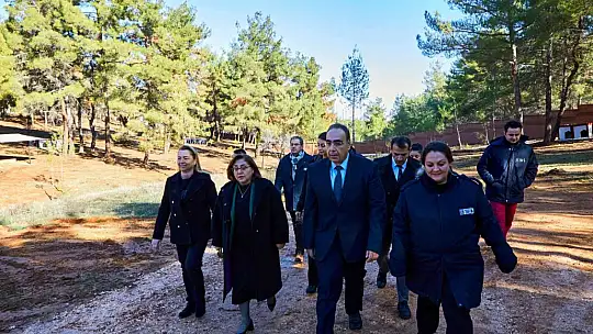 Gaziantep'te sokak hayvanlarına yaşam alanı