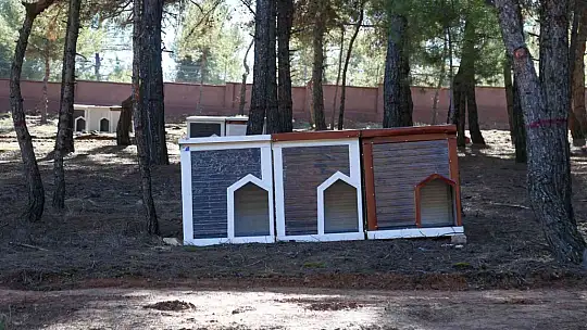 Gaziantep'te sokak hayvanlarına yaşam alanı