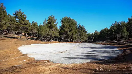 Gaziantep'te sokak hayvanlarına yaşam alanı