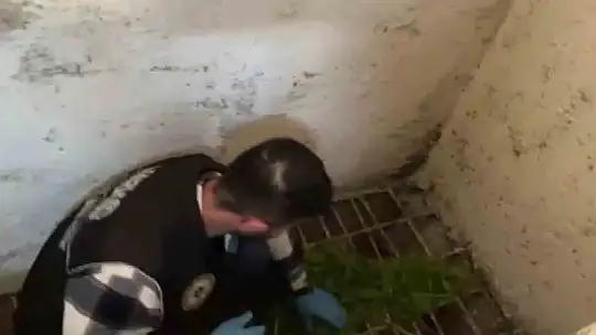Gaziantep'te sosyal medya operasyonu: 11 gözaltı