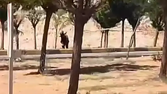 Gaziantep'te şüpheli paket paniği