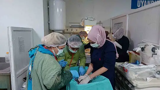 Gaziantep'te üçüz bebek sevinci