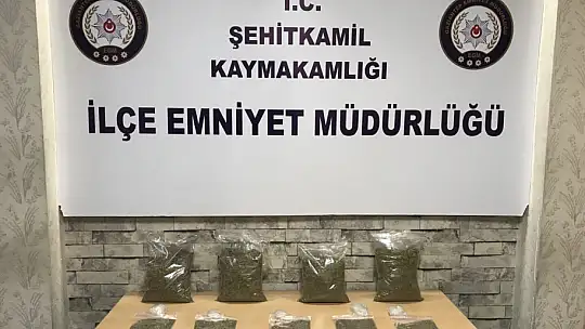 Gaziantep'te yaklaşık 2 kilo bonzai ele geçirildi