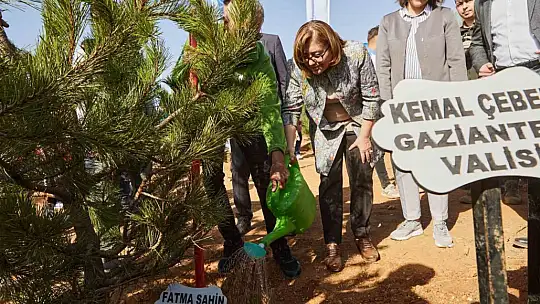 Gaziantep'te yanan ormanlık alana 2 bin yeni fidan dikildi