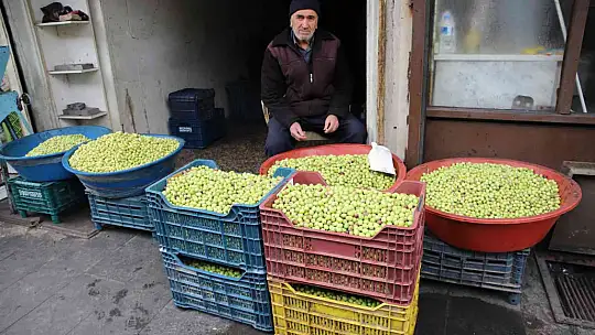 Gaziantep'te yeşil zeytin tezgaha indi