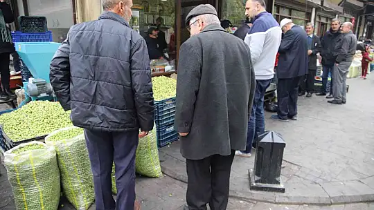 Gaziantep'te yeşil zeytin tezgaha indi